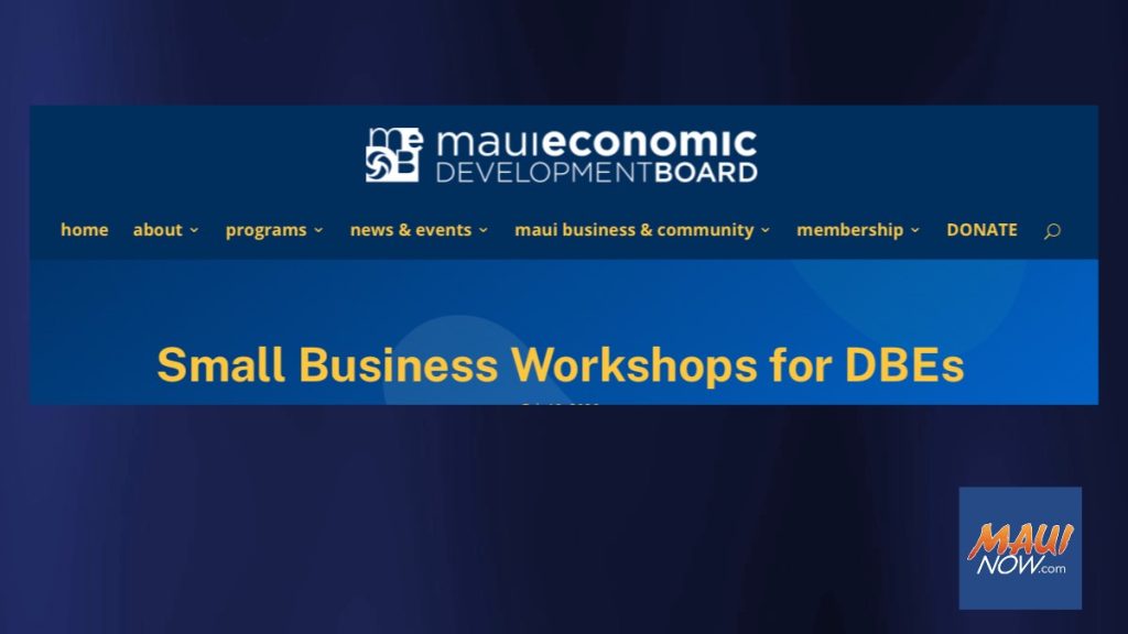 Maui Businesses: Win Gov Contracts - Free Kīhei Workshop!