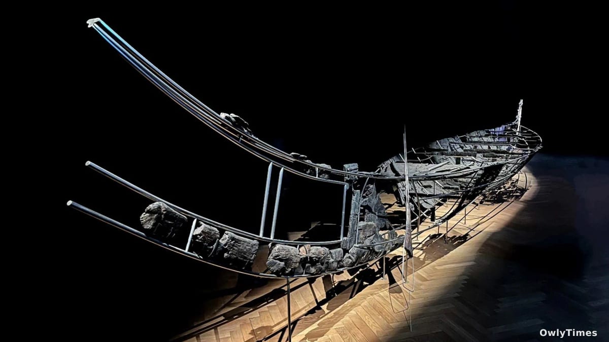 Viking Boat Analysis: New Findings Expand Sea Travel Reach