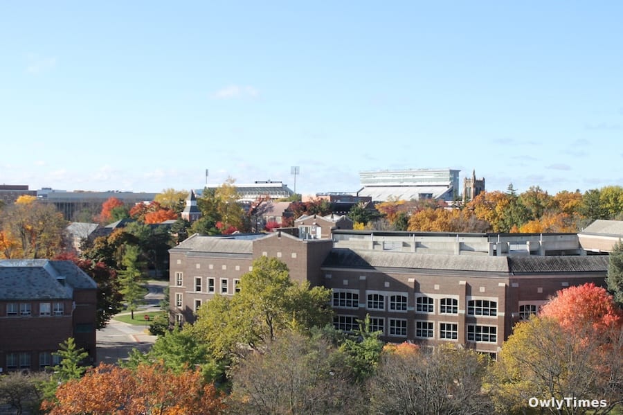 MSU’s $300M Plan: Impact Beyond the Arena Shift