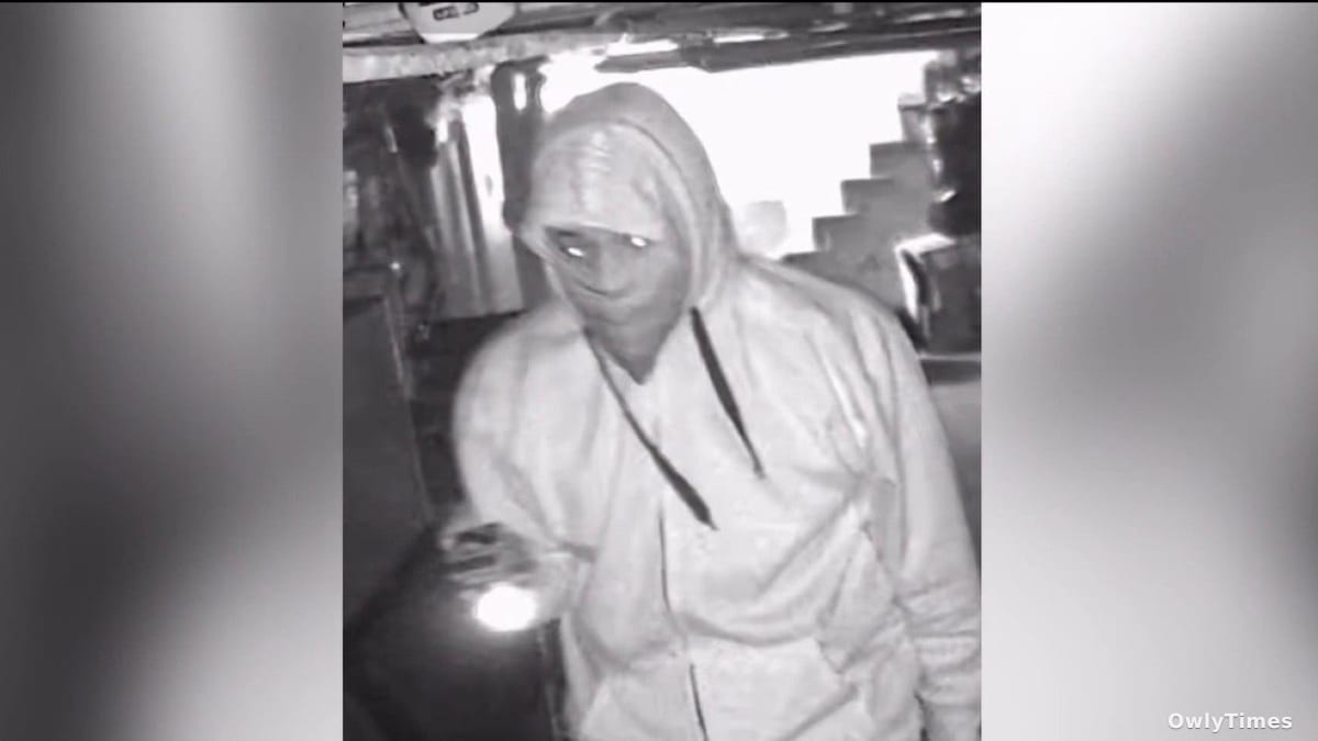 Chicago Burglaries: Organized Crime's Bold New Signal?