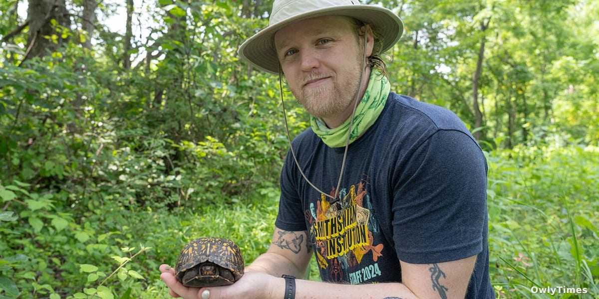 Box Turtle Decline: A Conservation Signal Lost in the Fields?