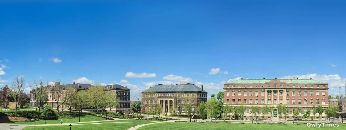 RPI's Jain: Finance-Marketing Gap's Capital Flow Stakes