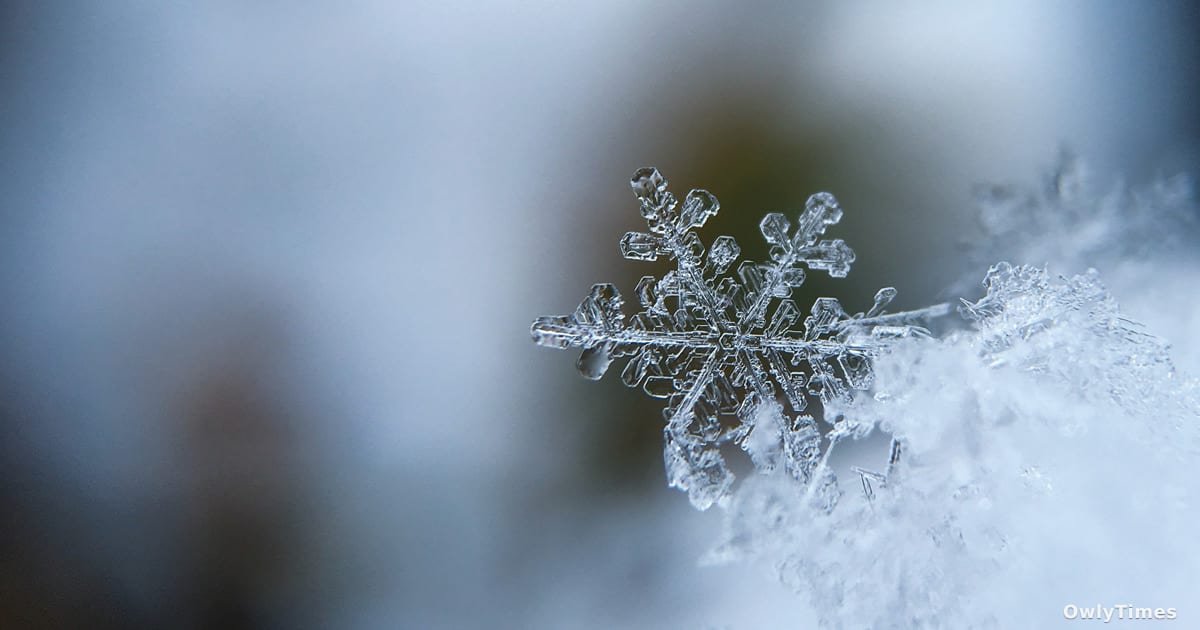 Essentia Closures: Climate's Impact on Rural Healthcare?