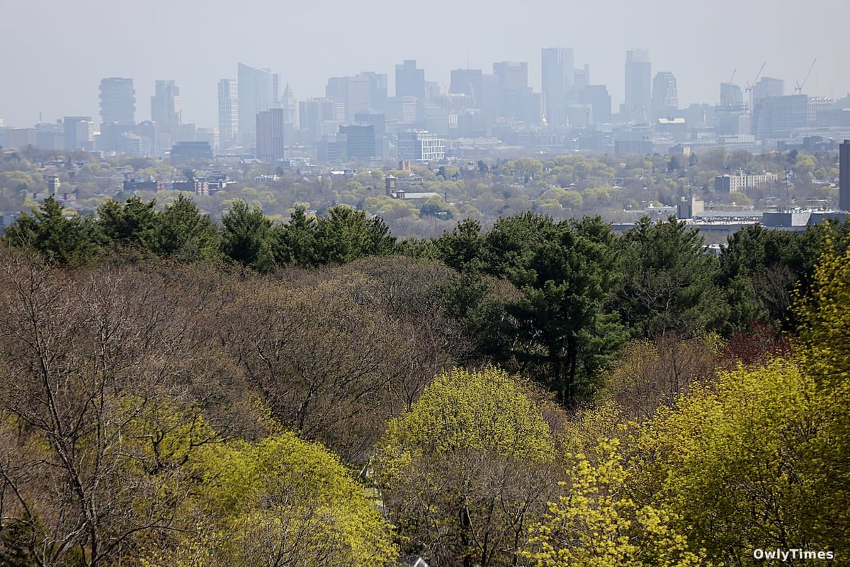 Boston Life Expectancy: A Widening Racial Gap Signals Crisis