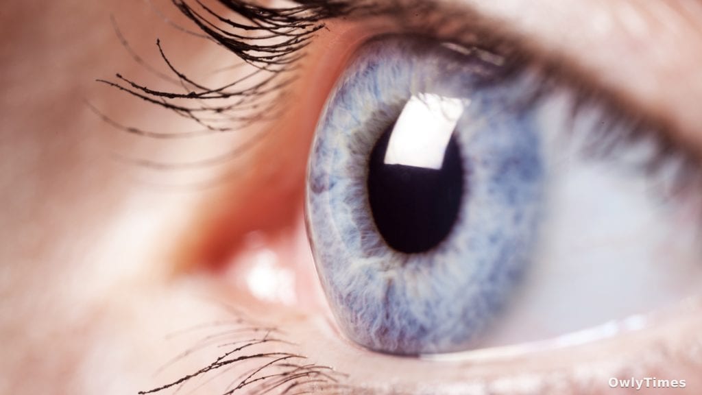 Intelligence Funds Sight Tech: Security Stakes Rise