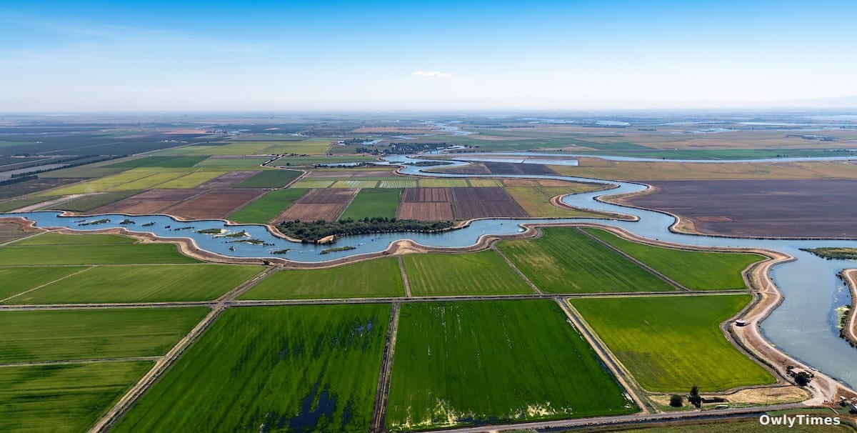 CA Water Analysis: Can Ecology & Supply Coexist?