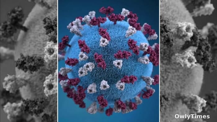 Florida Measles: Resurgence Signals Vaccine Weakness?