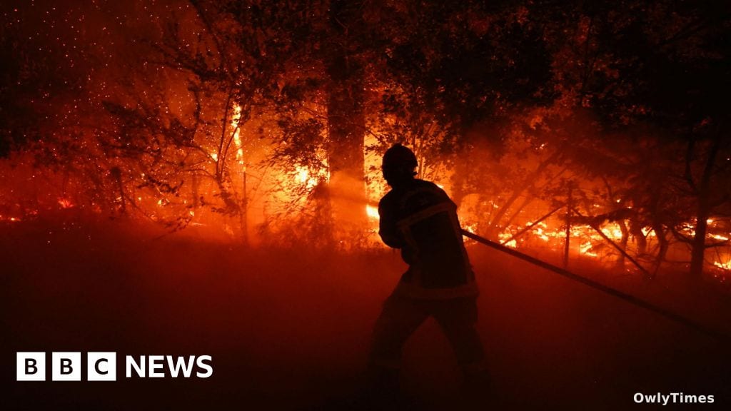 Wildfires in France and Spain Expose Failure of Physical Systems