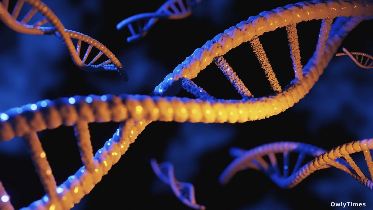 Genetic Tests: Equity Stakes in a DNA Revolution?