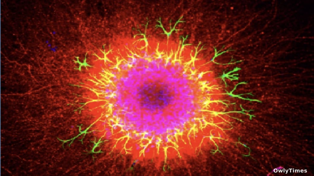 Art & Science: A Shift in How We See Discovery