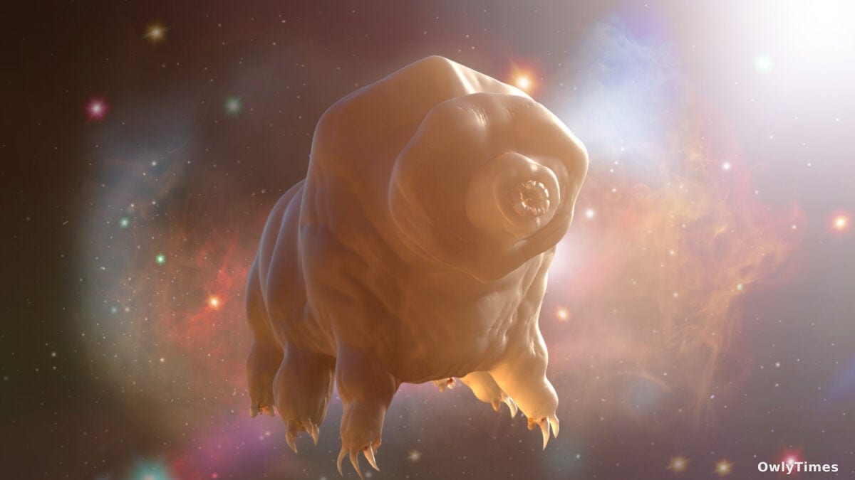 Tardigrades on Mars: Planetary Protection Stakes Rise
