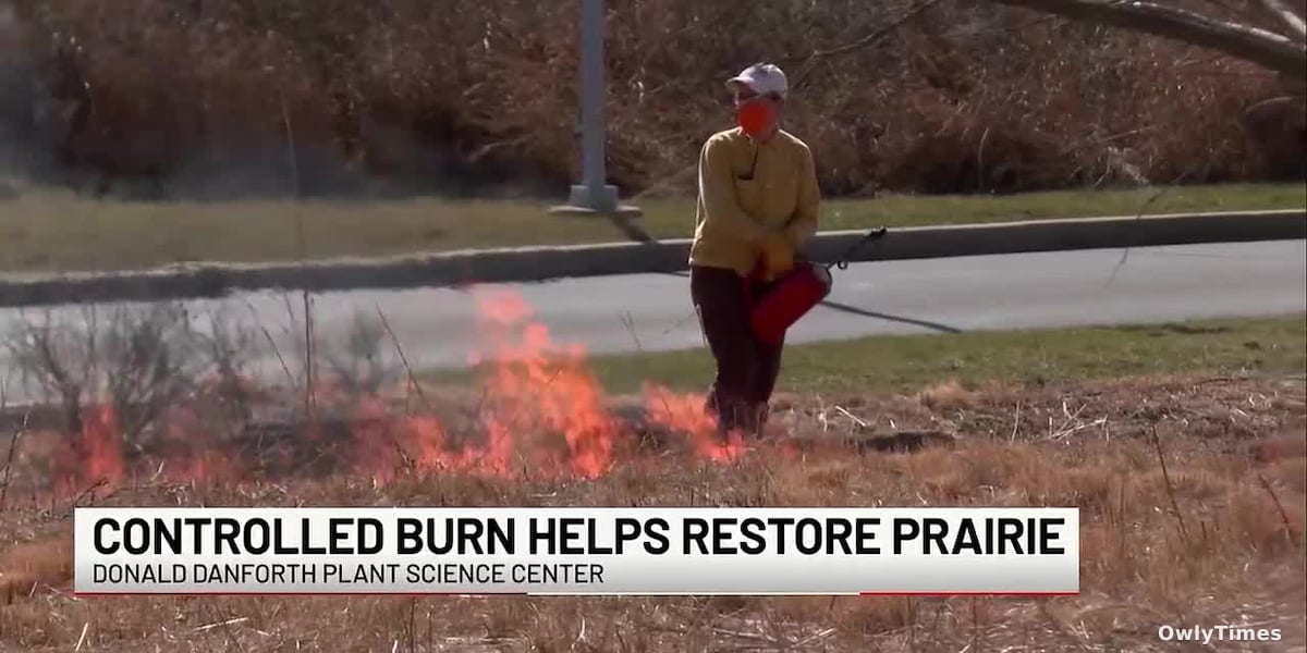 Fire's Renewal: Danforth Center Signals Prairie Shift