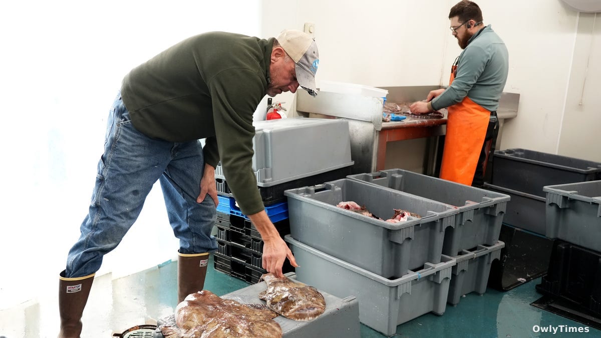 Monkfish Data Flaw: How Bad Science Hurt Fisheries
