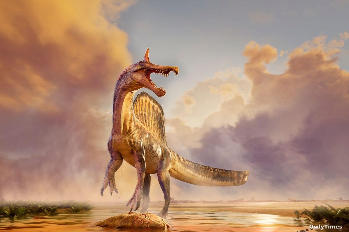 Spinosaurus Find: Shifting Views of Dinosaur Habitats