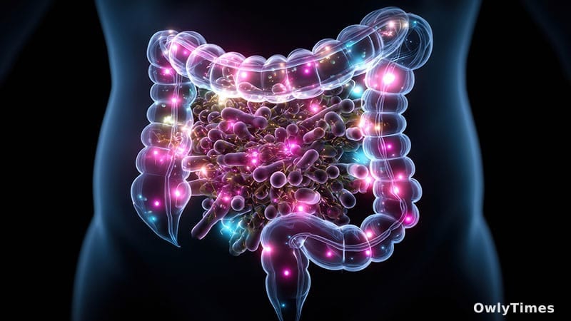 Gut-Back Pain Link: Analysis of Microbiome's Impact