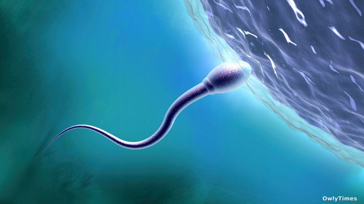 Susanne Brand Study Links Synthetic Chemicals to Global Fertility Drop