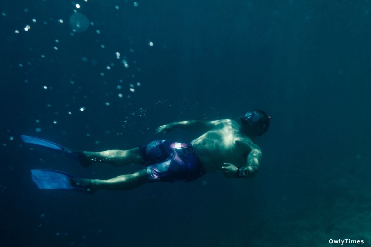 100 Days Deep: USF Study Signals Future of Human Limits
