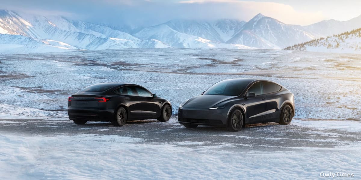 Tesla FSD: Dutch Delay Signals Regulatory Stakes Rise