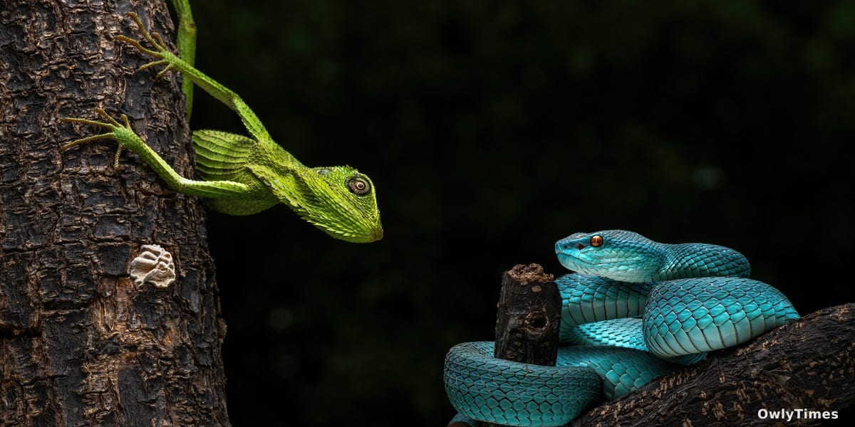 Earth's Species: New Analysis Reveals Vastly Higher Stakes