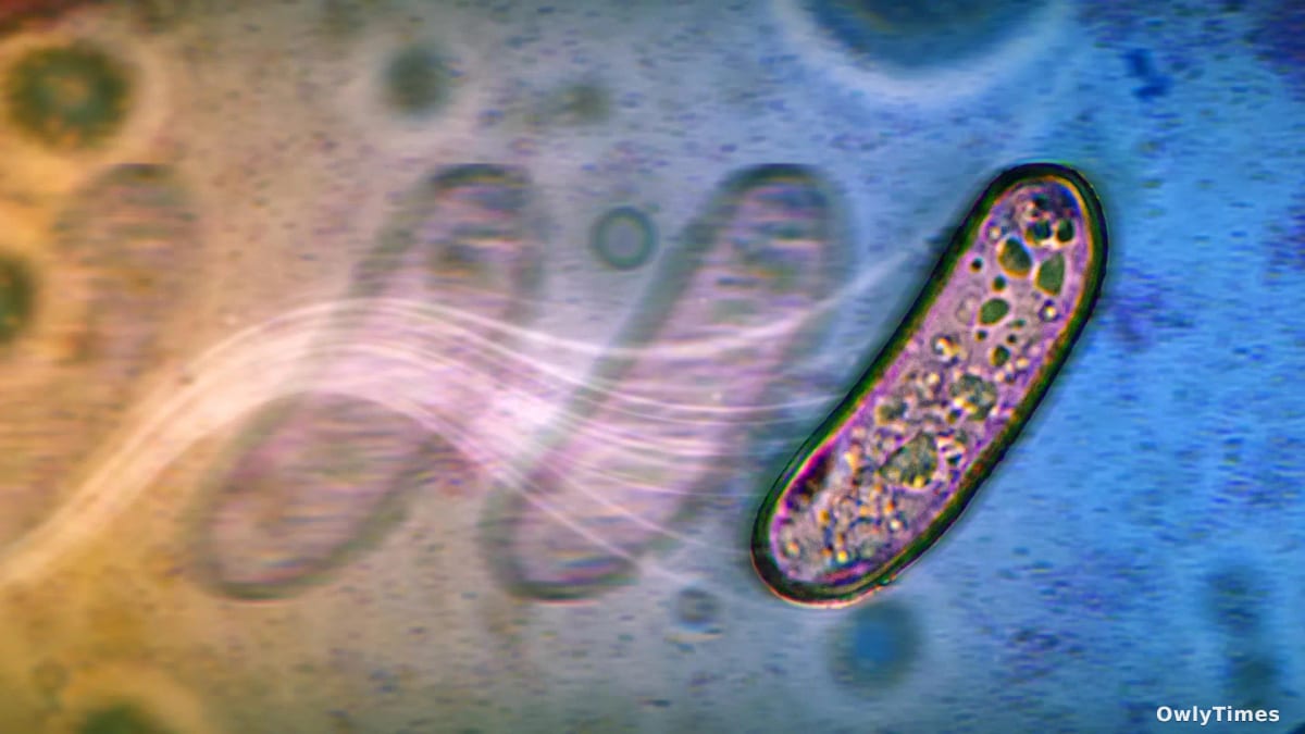 Bacteria's Agency: ASU Research Signals a Microbial Shift