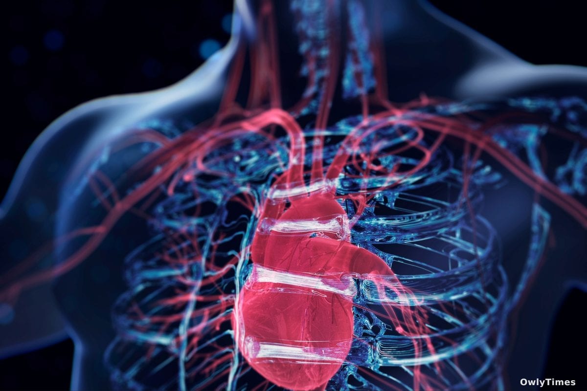 Legumes and soy may lower high blood pressure, study finds