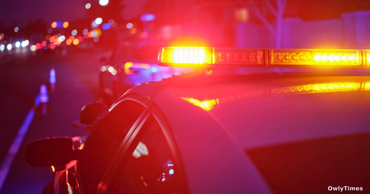 Chicago Crime Shift: Register Thefts Signal New Tactics