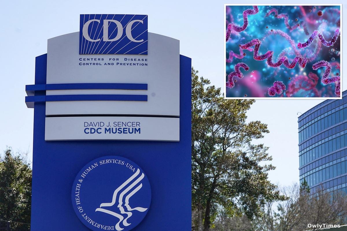 Syphilis Cases Hit 30-Year High as Doctors Push Universal Screening