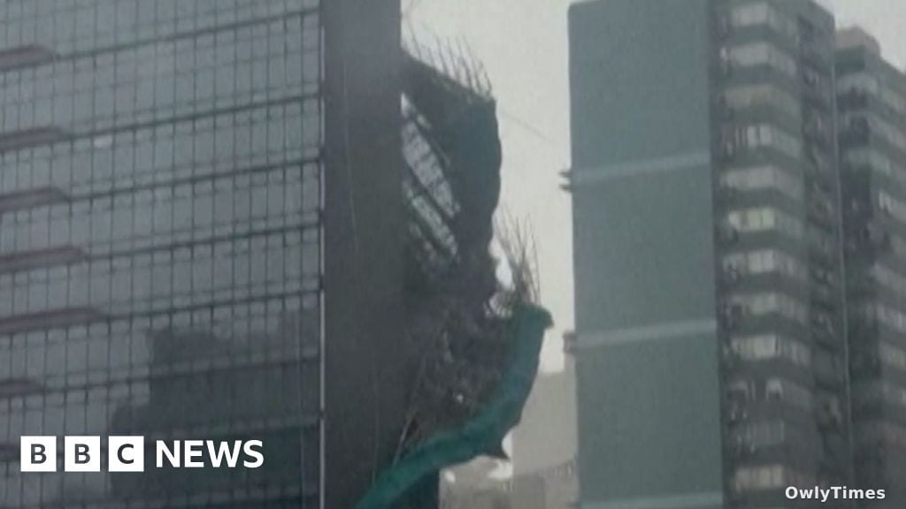 Typhoon Noul knocks out power for millions across Southern China