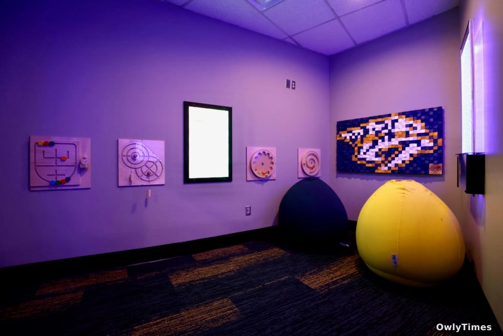 Daigle Concerts: A Shift for Sensory Needs & Live Music