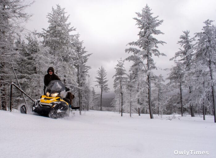 Cook County's Winter: Snowfall Signals Economic Shift