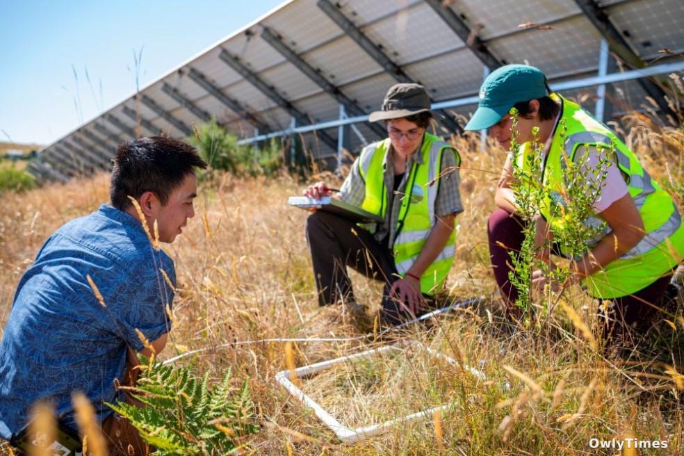 Humboldt Rangeland Win Signals Ecological Ed Shift