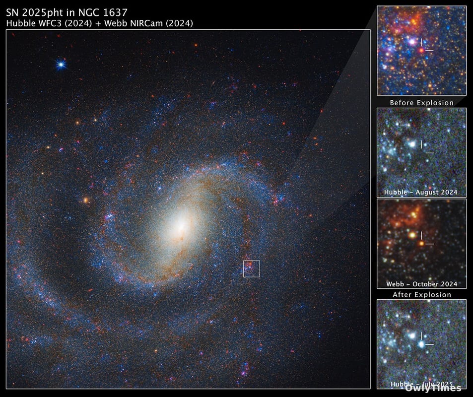 Supernova Signal: Dust Reveals Missing Star's Final Days