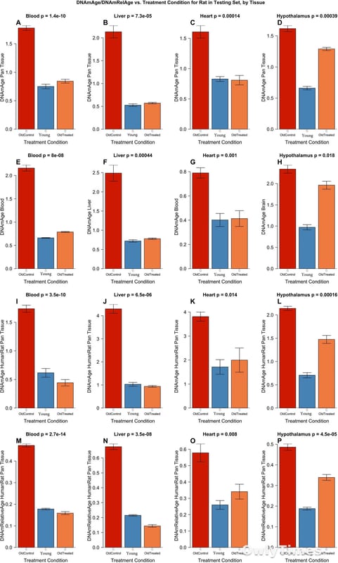 PiRNA Analysis: New Signal for Healthy Aging & Lifespan?