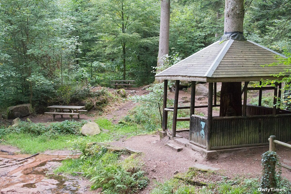 Disney Restructure: Walden's Rise & the Streaming Stakes