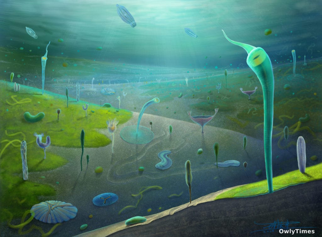 Fossil Analysis: Animal Evolution Began Earlier Than Thought