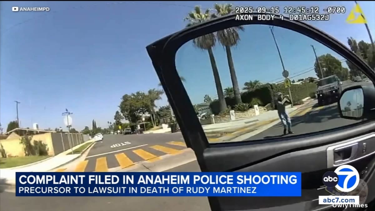 Anaheim Shooting: Excessive Force & Mental Health Stakes