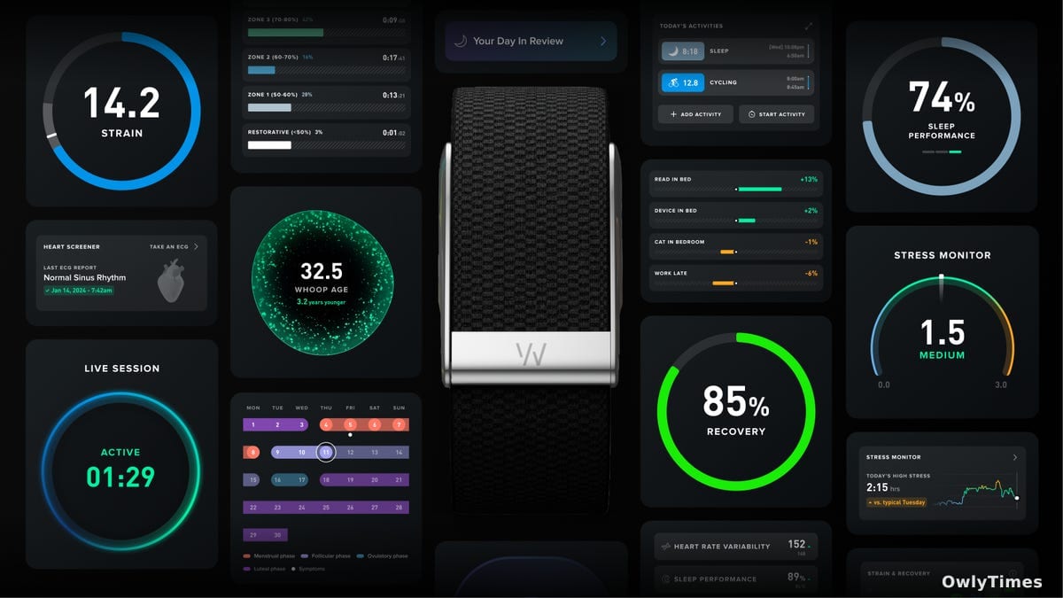 Whoop 5.0 Adds AI Coach to Explain Personal Health Data