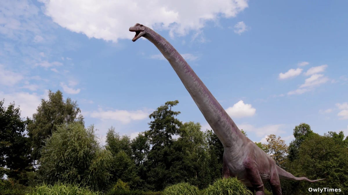 Dinosaur Parenting: New Analysis Reveals Unexpected Independence