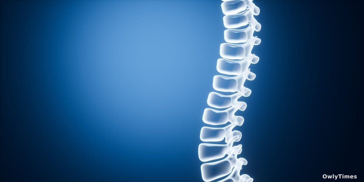 Spinal Injury Repair: New Model Signals Hope & Better Trials