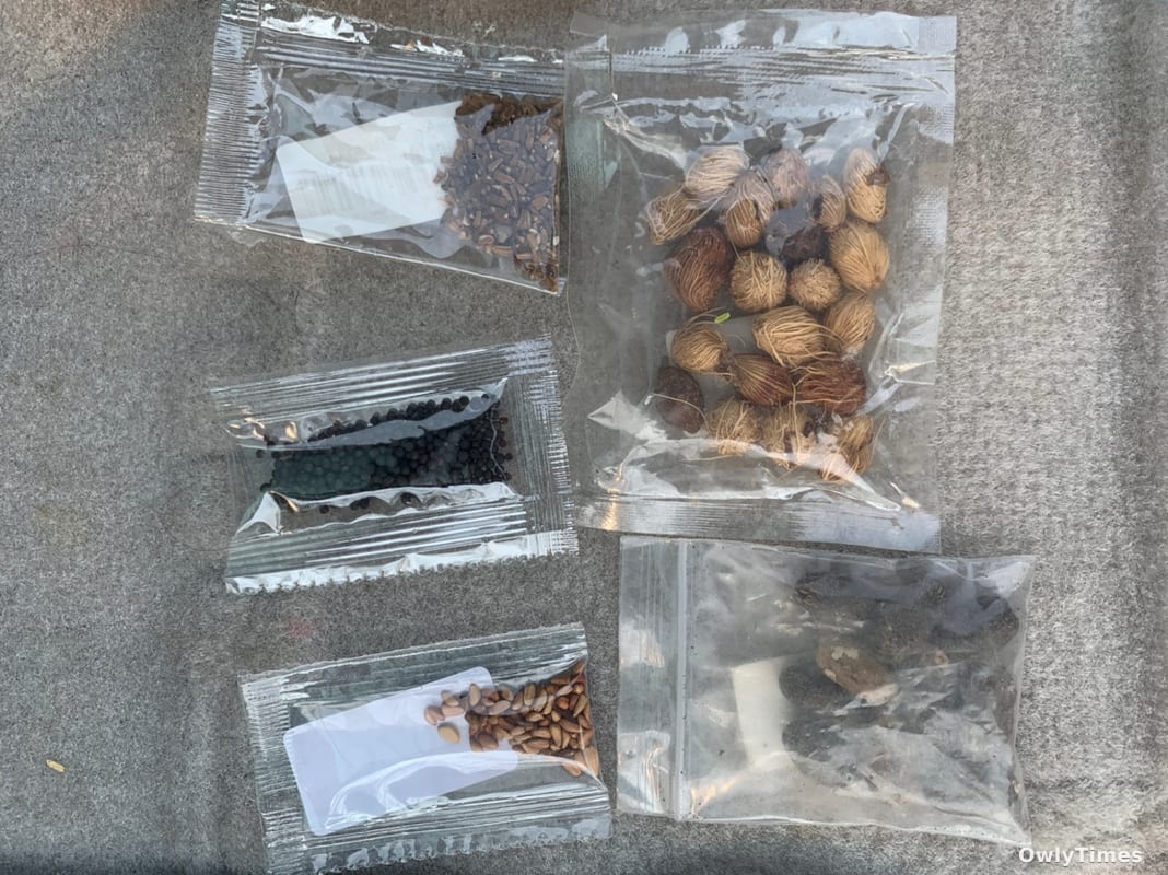 China Seeds: Texas Data Signals Biosecurity Stakes Rise