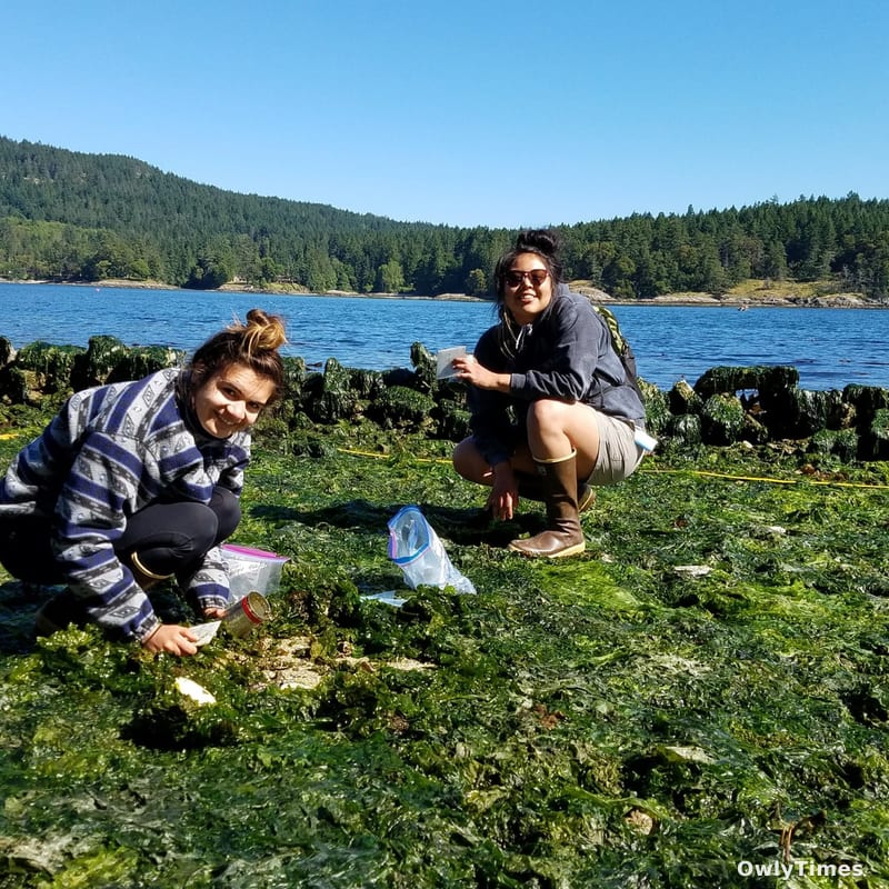 Indigenous Knowledge: A Scientific Shift & Its Stakes