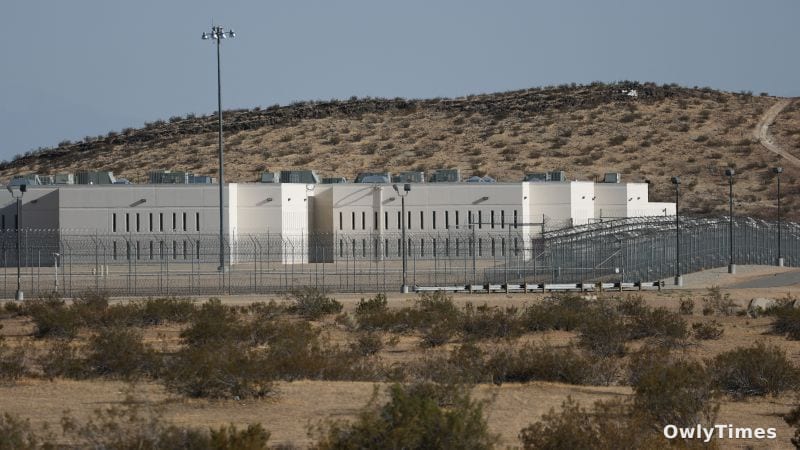 Detention Healthcare: A Systemic Failure & Rising Stakes
