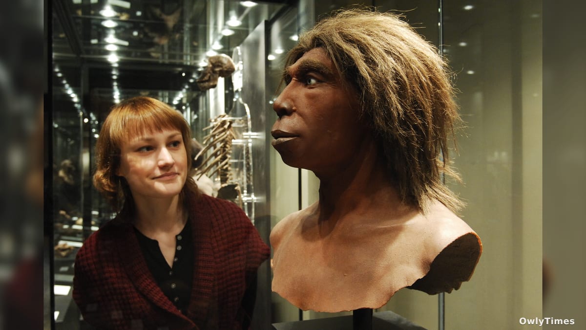 Neanderthal DNA: Attraction Shaped Our Genetic Legacy