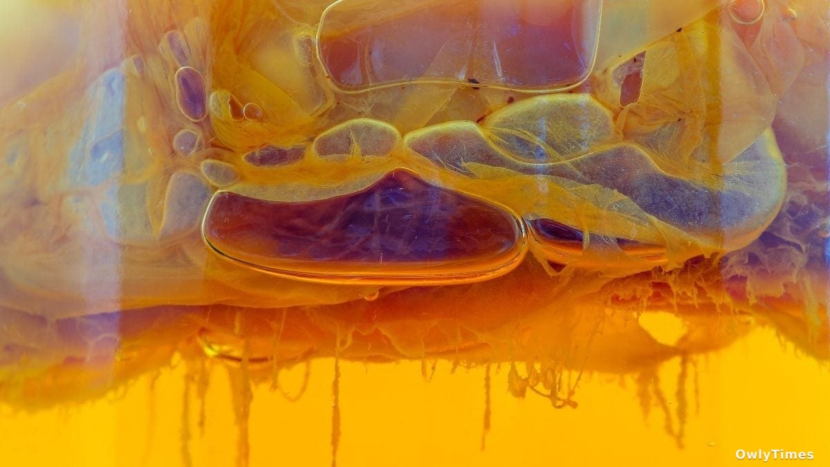 Prebiotic Goo: New Life Origin Theory's Impact