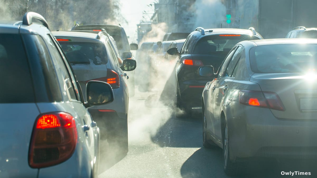 Trump's Climate Shift: Health Stakes & What It Means