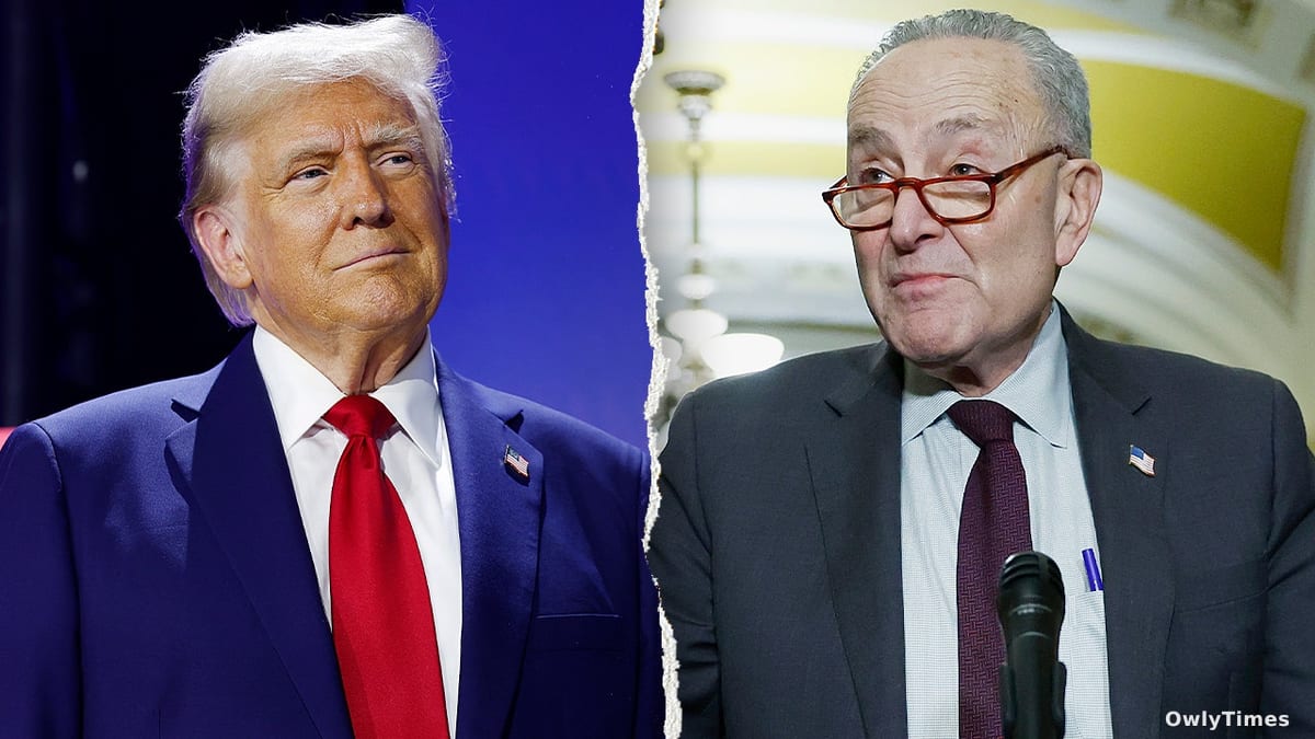 Schumer's 'ICE' Slip: DHS Funding Fight's Hidden Signal