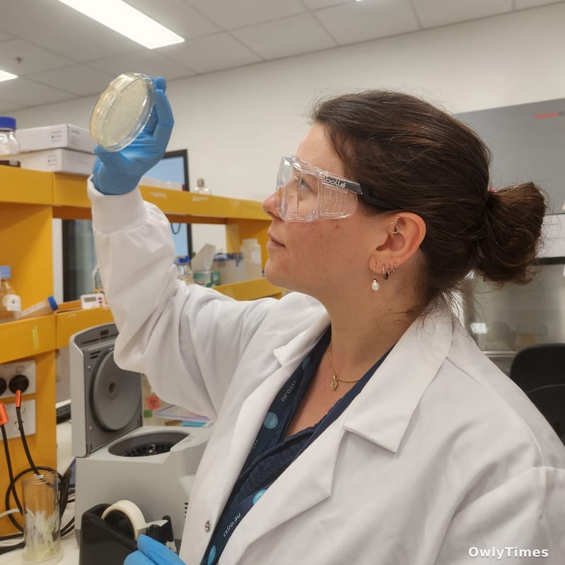 Wheat Rust: New Threat Signals Global Food Stakes