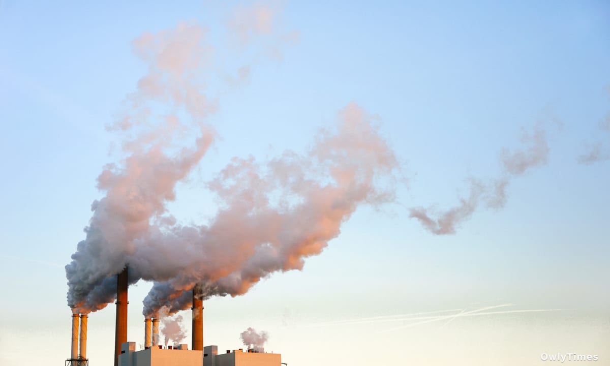 Air Pollution's Brain Impact: New Alzheimer's Signal?