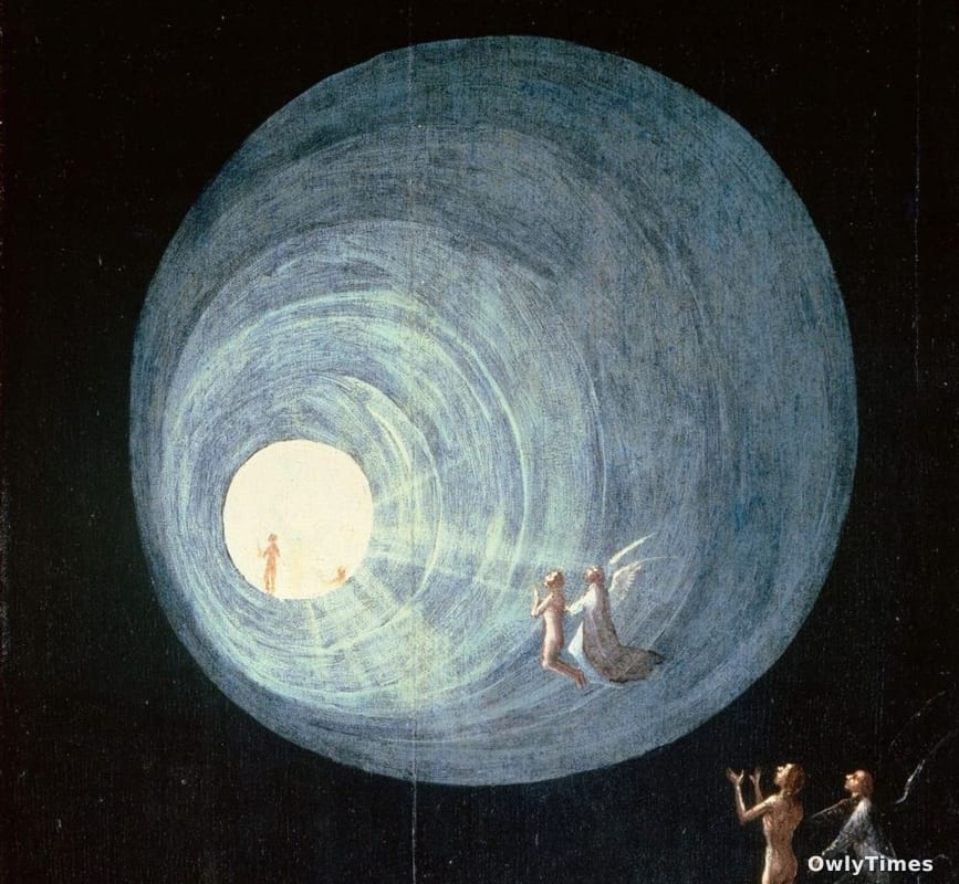 IANDS Researchers Debate Near-Death Experiences at Chicago Hilton