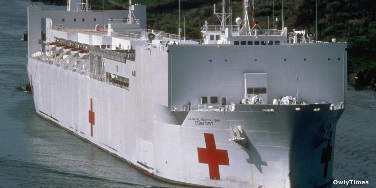 Trump's Greenland Offer: A Missed Healthcare Signal?